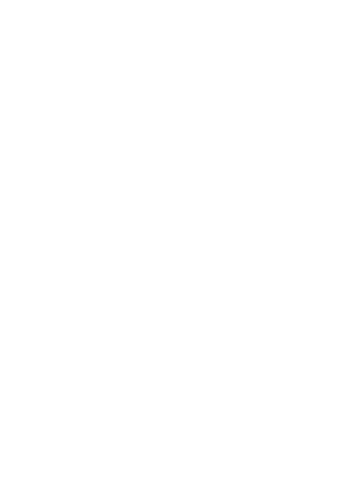 Ícono del rayo que representa a SWAYP